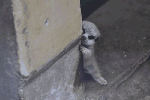 21068163.jpg (13 KB)