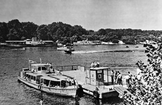 28690049751918242842649066078359201809209155n.jpg (130 KB)