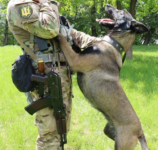 3ж3(3).jpg (325 KB)