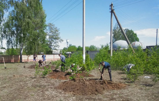 333a3ux-1654868827-image62a33f7bc6ddalg.jpeg (77 KB)