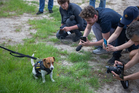 3952080_main.jpg (84 KB)