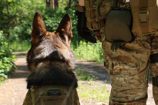 41952748_main.jpg (70 KB)