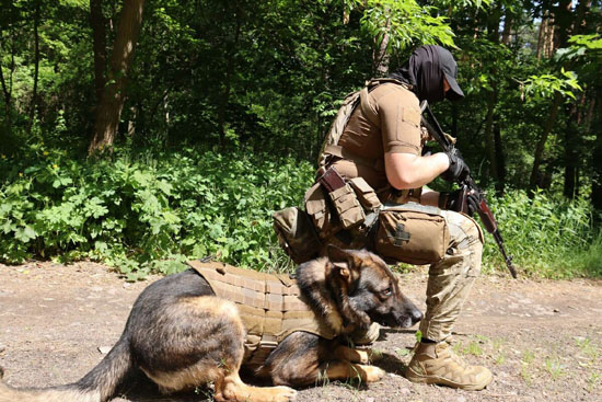 54952749_big.jpg (108 KB)