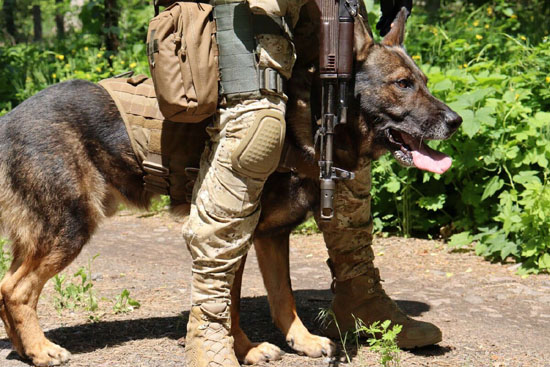 7952754_big.jpg (98 KB)