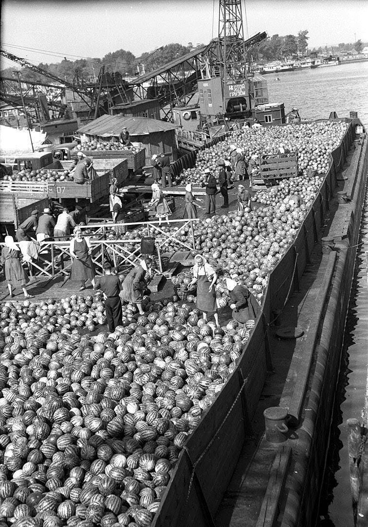 photo2022-05-2510-48-41.jpg (200 KB)