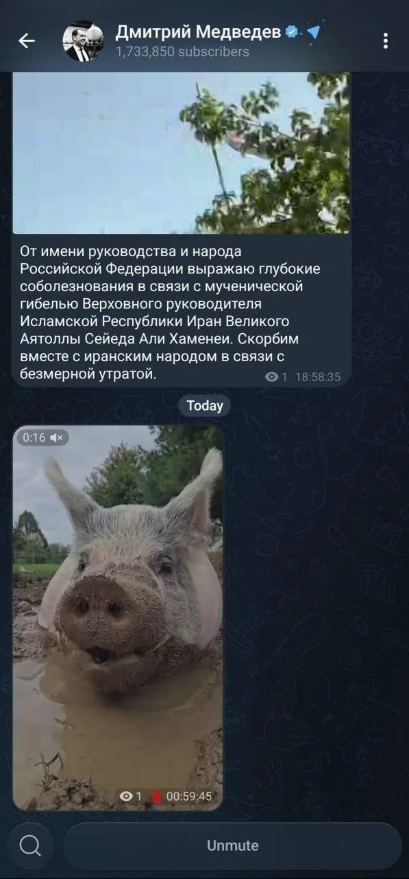 spjqlXKE5cQYbujSZdN7.webp (79 KB)