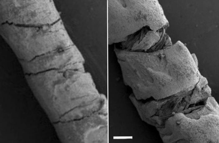 Снимок-13111.png (306 KB)