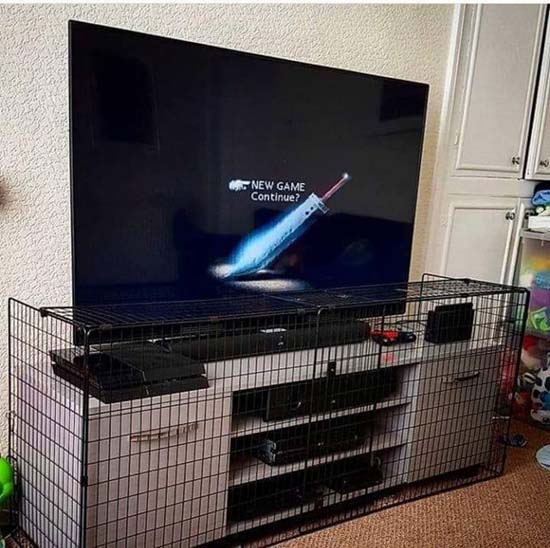 45119815--1558958328-728-0a59f15965-1559205114.jpg (72 KB)