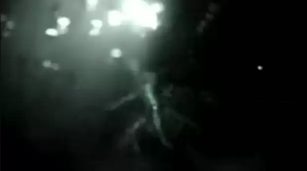 1636180782_1.webp (2 KB)