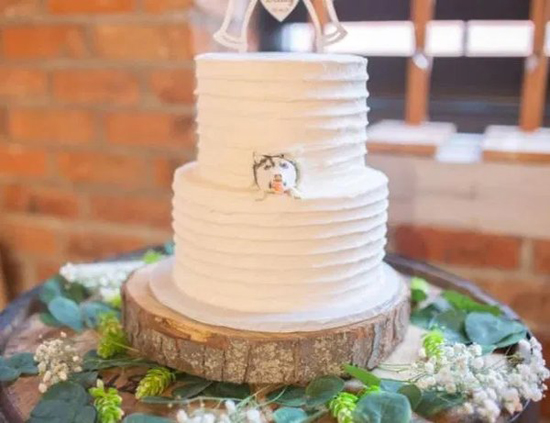 2983550.jpg (157 KB)