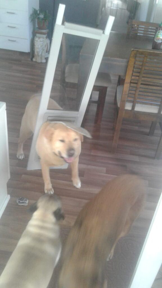 4982234.jpg (239 KB)