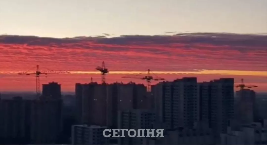 618be4ed8f163.jpg.webp (19 KB)