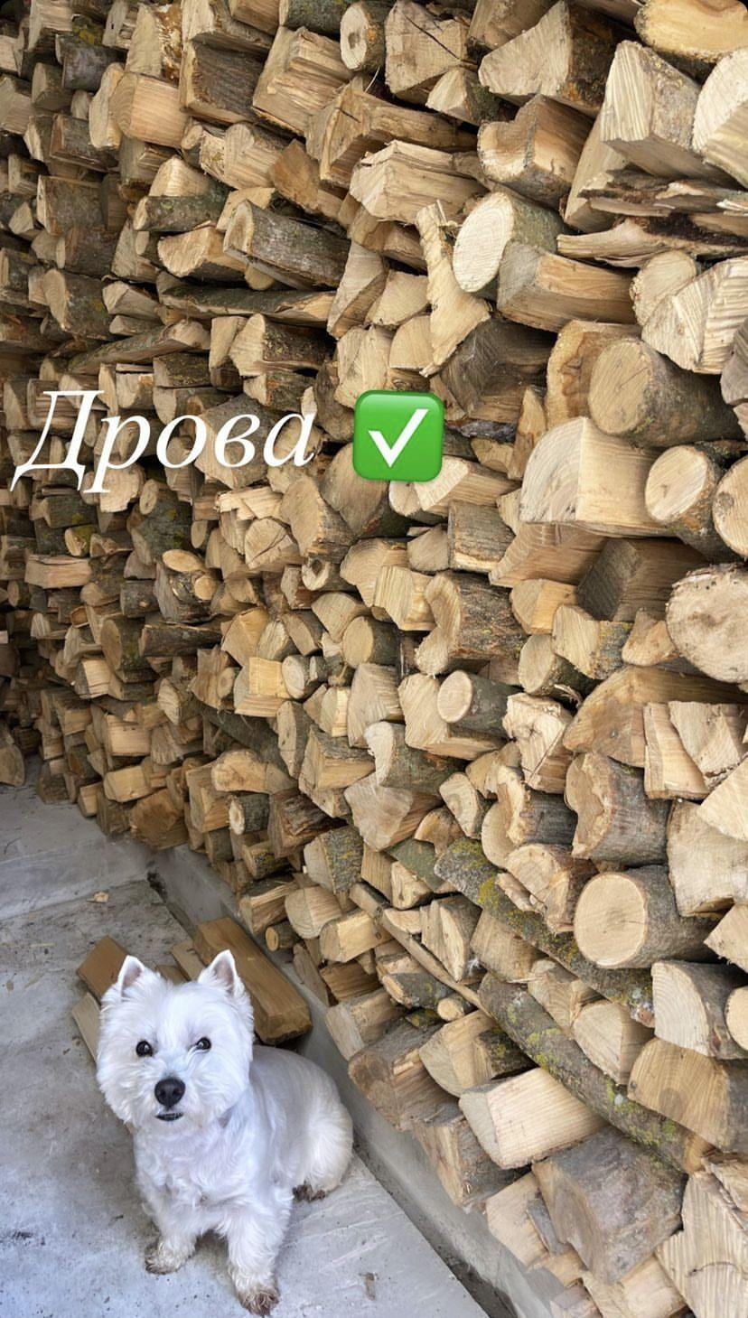 201001o9r-398a.webp (1.25 MB)