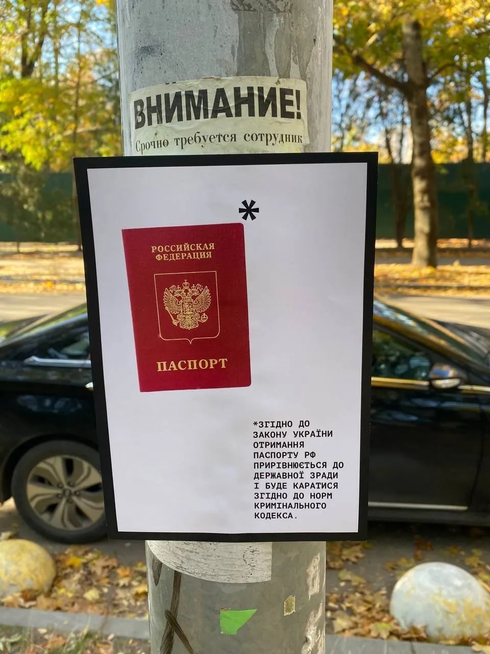 3photo2022-10-2822-19-55.webp (111 KB)