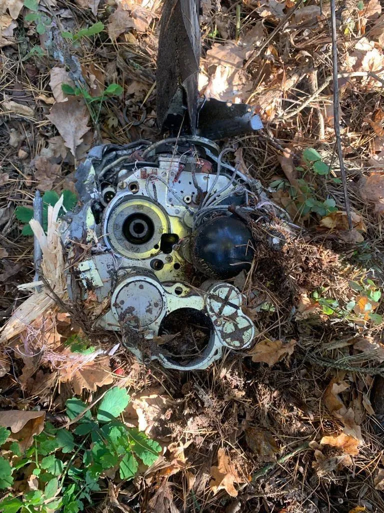 4photo2022-10-1112-08-13.webp (238 KB)