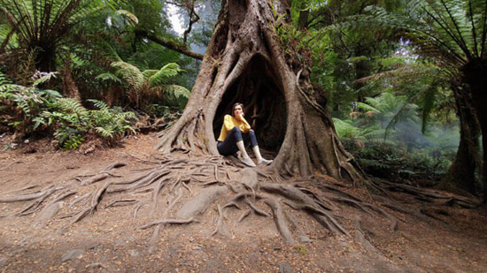 110cam3-750x422.jpg (97 KB)