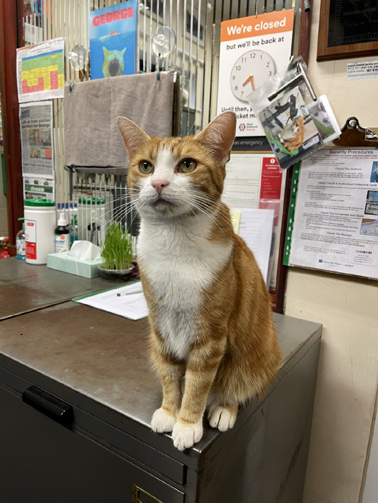 1in_article_e671bc2955.jpg (311 KB)