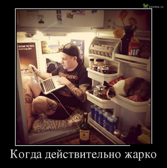 41407136873_demotivatory_10-638x640.jpg (106 KB)