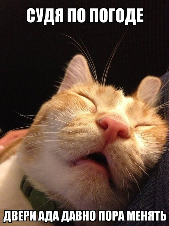 5mlzbzhv-1.jpg (145 KB)