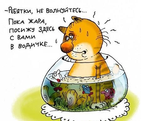 6anekdot-pro-zharu.jpg (37 KB)