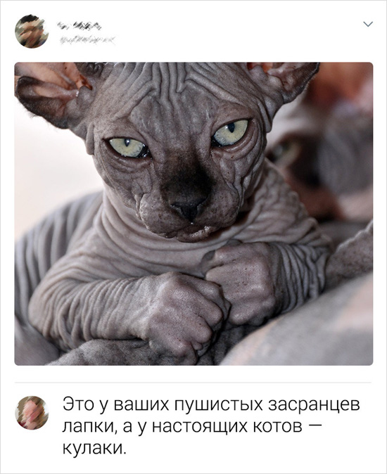 89065765-44935010-1c08279a75e8b1b84afaffc3eda1cc451ed27377-728-1-1567493200-728-7be9dbaa53-1567604376.jpg (140 KB)