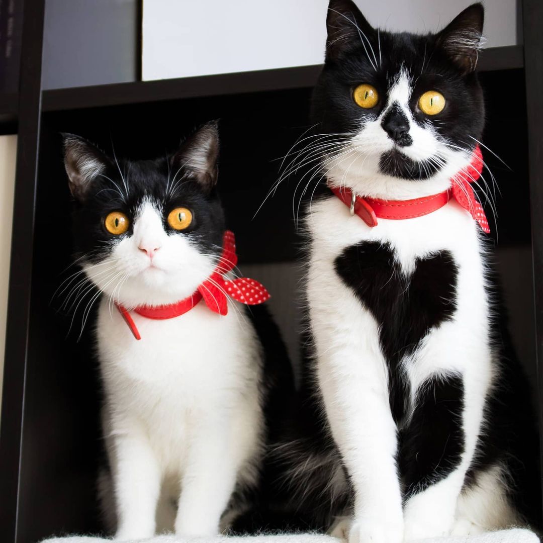 1a559e77f6a192e274834b4e3d56d6f59.jpg (124 KB)