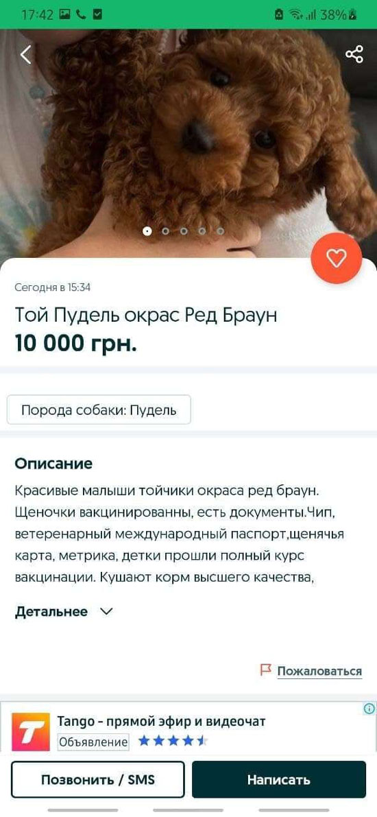 2pudel-obyavl-optimized.jpg (120 KB)