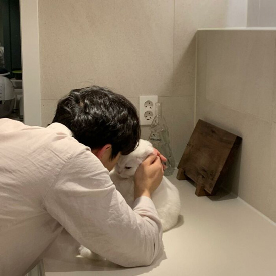 34_cat-mudgi.jpg (78 KB)