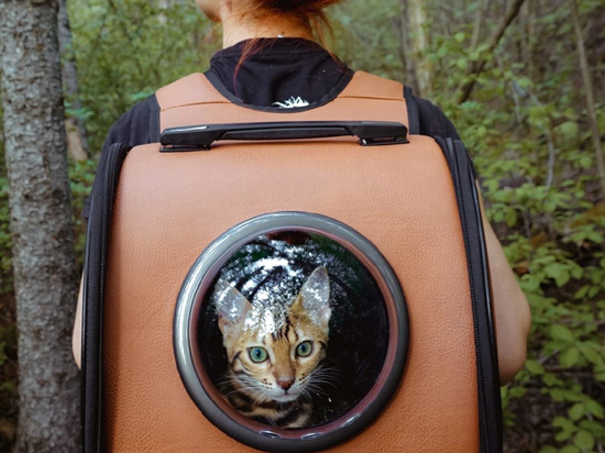 3d074d8d6cde9ce013808ca4a4e7b5b7.jpg (112 KB)