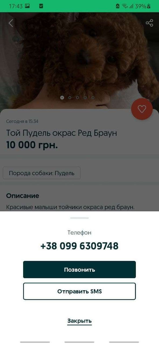 3nomer-optimized.jpg (74 KB)