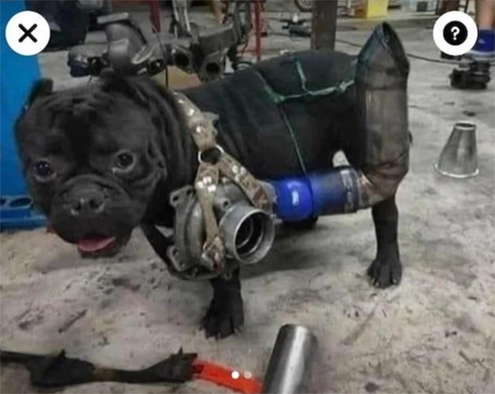 4815784_big.png (333 KB)