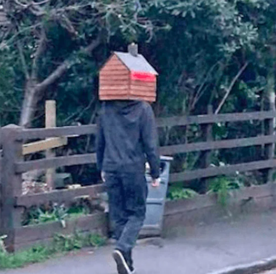 9815799_big.png (475 KB)