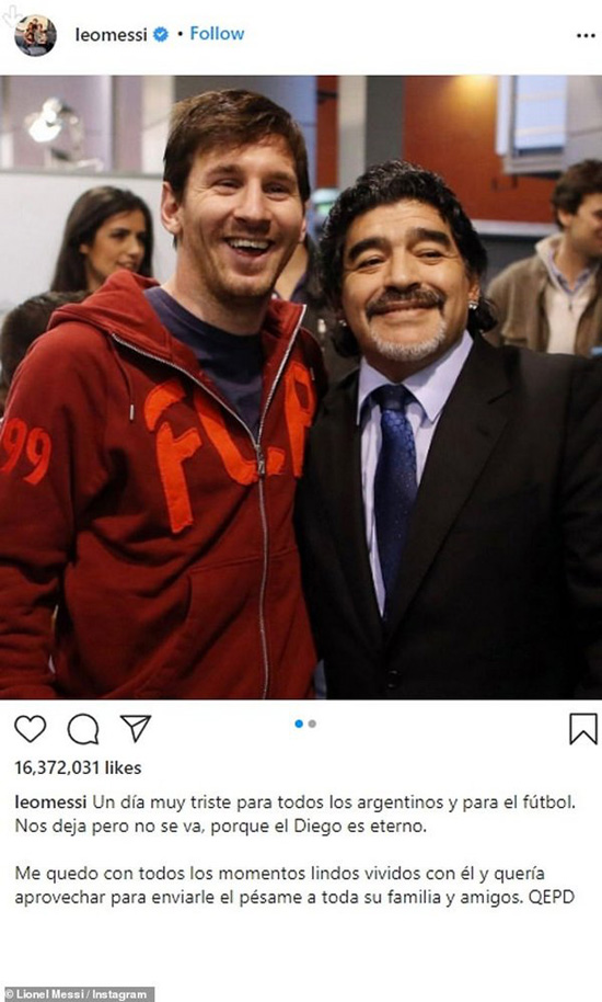 3861810.jpg (145 KB)