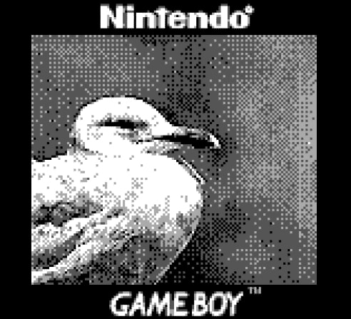 4f50c7ea557c29c18a073c13cc770aa9d.jpeg (56 KB)