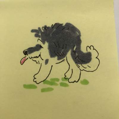 91527946987_sobaka10.jpg (11 KB)