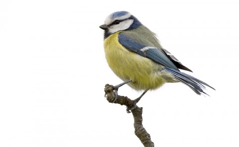 1vSe5nOJr1HCtZFAOhxeLwRuG8ZWKaJ.jpg (14 KB)