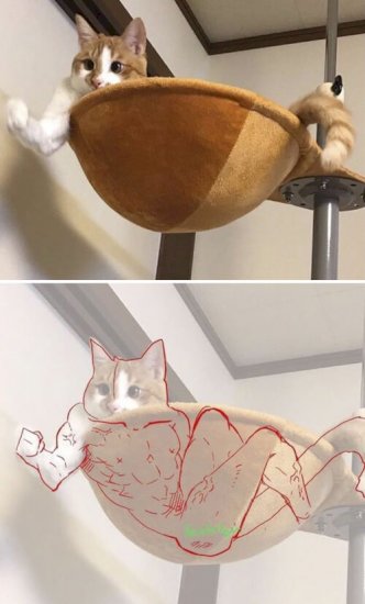 263154-1565175742-big.jpg (29 KB)