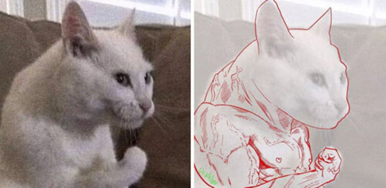 3263155-1565175742-big.jpg (110 KB)