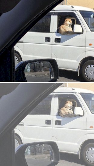 4263157-1565175743-big.jpg (32 KB)