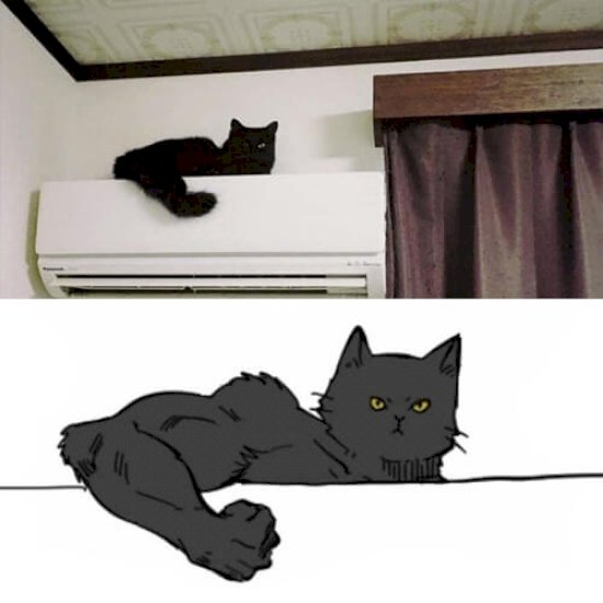 6263159-1565175743-big.jpg (32 KB)