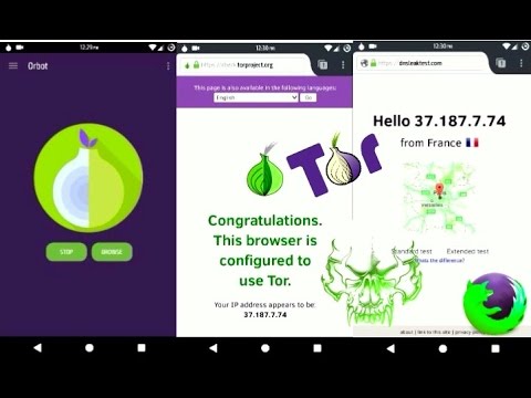 state of the onion tor