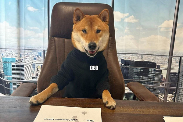 a1pq160ckrnlpcxy7391a7g44hin26gg.jpg (112 KB)