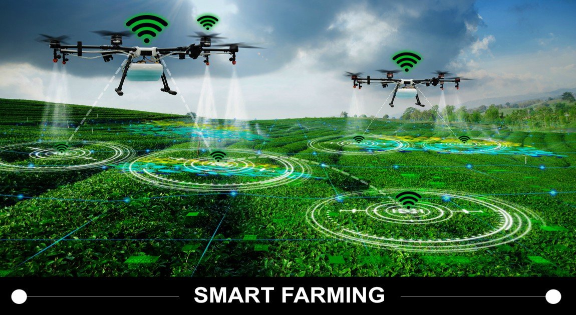 IOTAGRICULTURE_resized.jpg (220 KB)