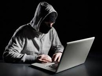 Поліція викрила інтернет-шахрая, який "продавав" єнота