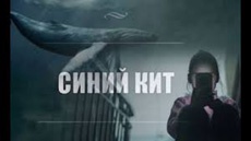 В Сумах нашли шутника, который запугивал сверстников, называясь куратором «Синего кита»