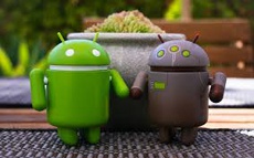 Google будет обновлять Android на Pixel до октября 2018 года