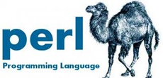Самым ненавистным языком программирования назвали Perl
