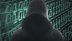 Обнаружен новый банковский троян Panda Banker