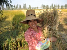 Apple iPhone SE ориентирован на фермеров Китая