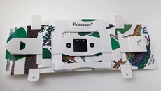 Бумажный микроскоп для смартфонов Foldscope позволяет снимать с 2000-кратным увеличением